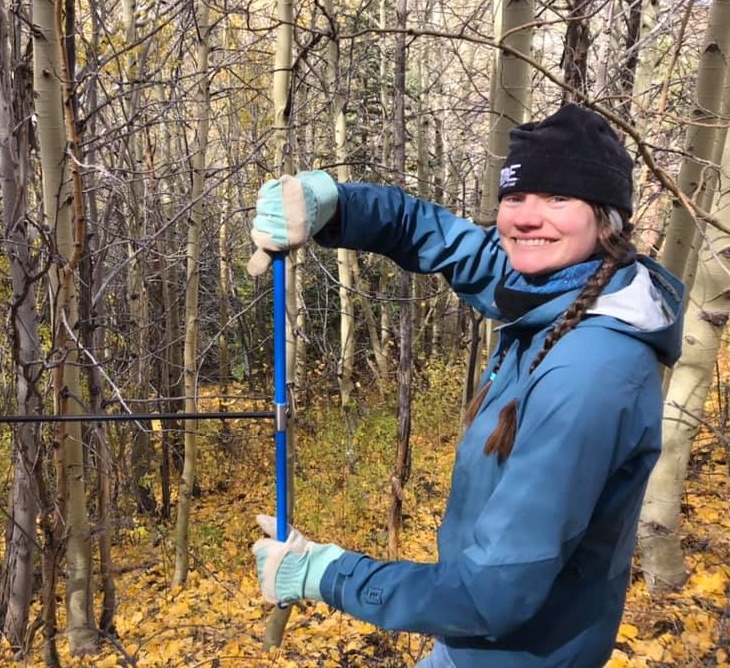 Photograph of me taking a tree-core sample